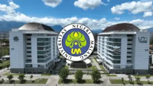 Universitas Negeri Malang (UM)