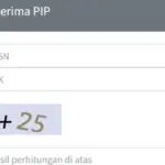 Cara Cek PIP Lewat HP 2026
