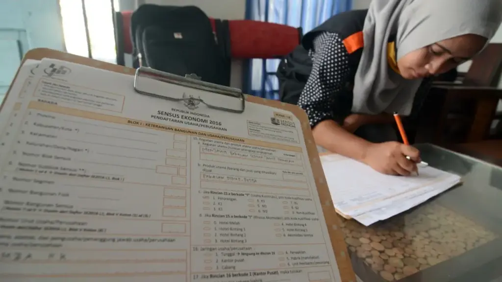 Kapan Mitra BPS 2026 Mulai Bekerja