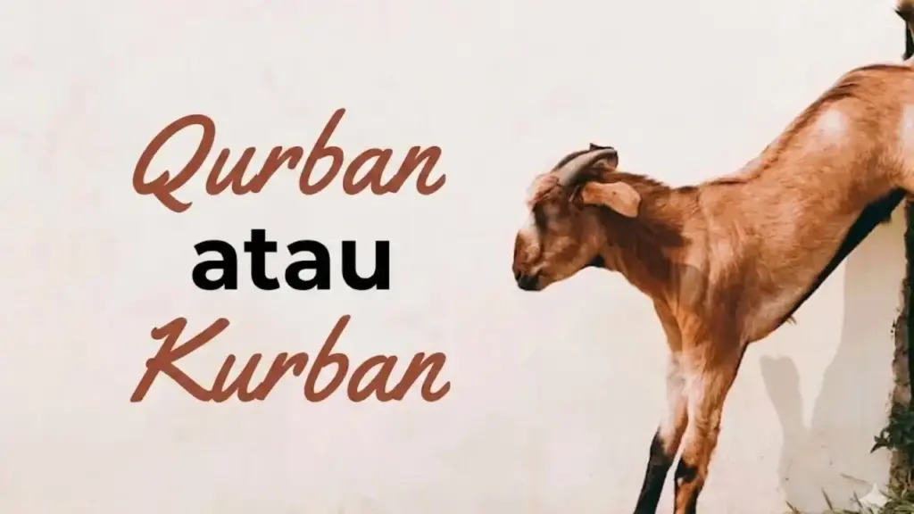 penulisan kurban yang benar