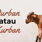 penulisan kurban yang benar