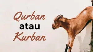 penulisan kurban yang benar