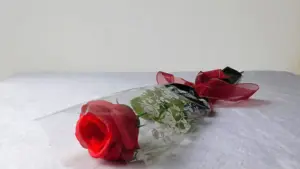 Ucapan Terima Kasih untuk Guru dari Wali Murid