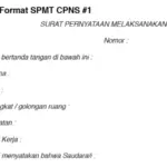 Apa itu SPMT CPNS dan Cara Download Lewat Aplikasi MyASN