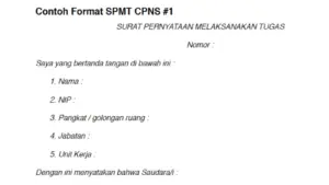 spmt cpns itu apa